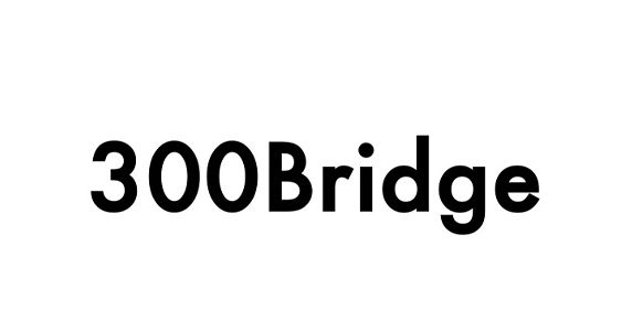 株式会社300Bridge ロゴ